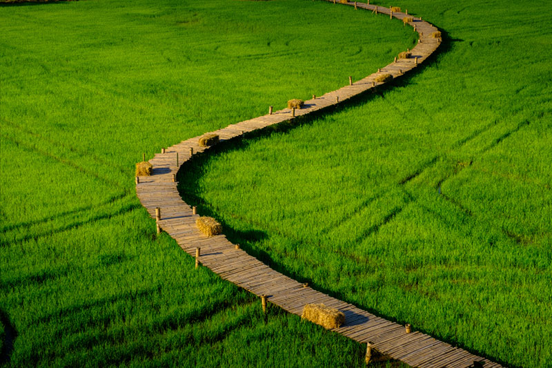 สะพานทุ่งนามุ้ย