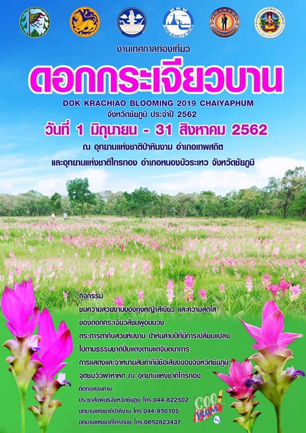 ทุ่งดอกกระเจียว 2562