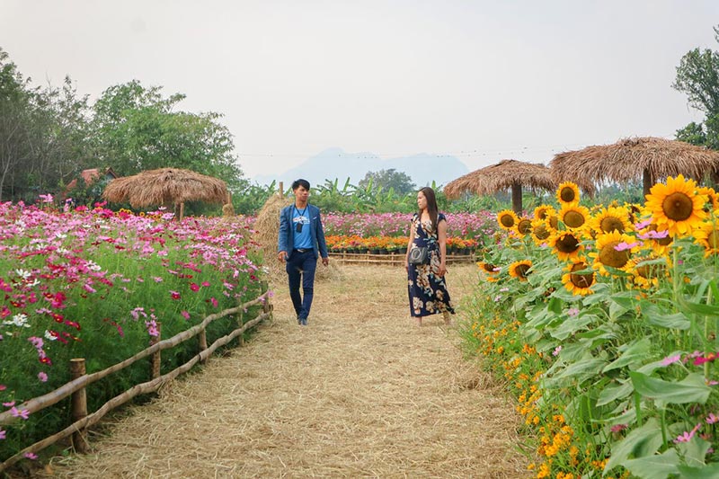 ต้นกล้าเกษตรแฟร์ สระบุรี