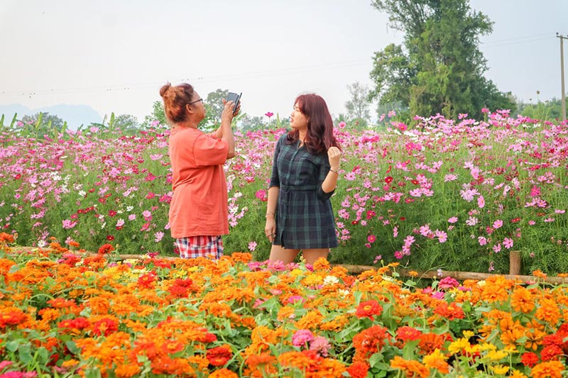 ต้นกล้าเกษตรแฟร์ สระบุรี