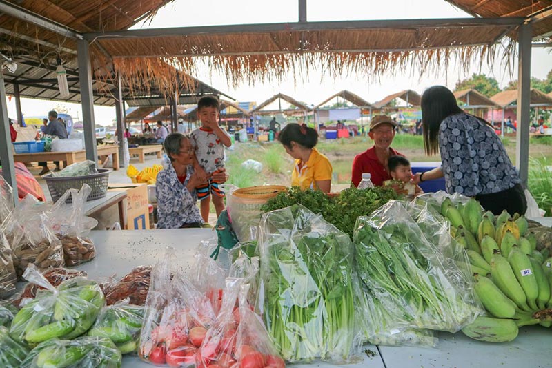 ต้นกล้าเกษตรแฟร์ สระบุรี