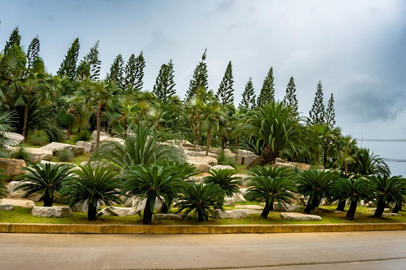 หุบเขาปรง