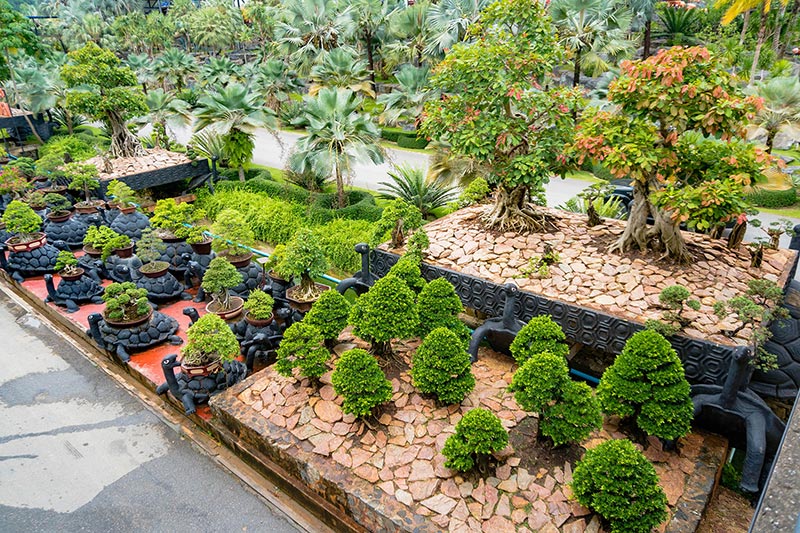 สวนบอนไซ