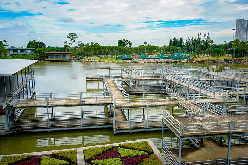 สวนไม้ลอยน้ำ