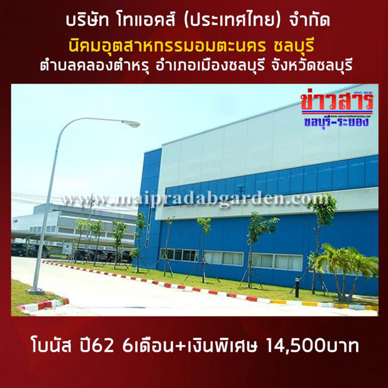 รวมโบนัส 2562 