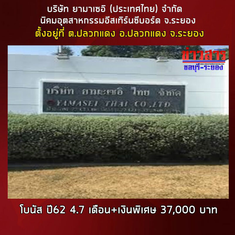 รวมโบนัส 2562 