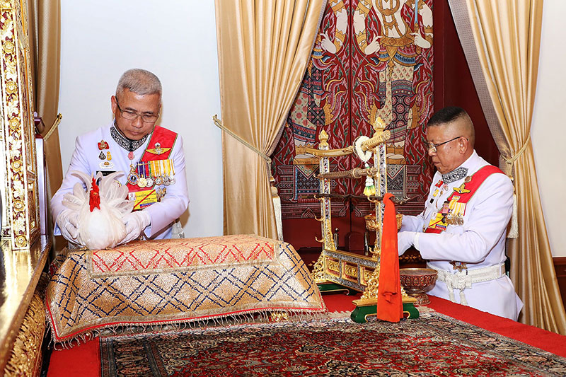 เผยชื่อแมวไทย