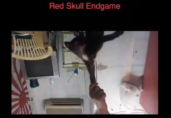 หนุ่มใช้เท้าขยี้คอแมว