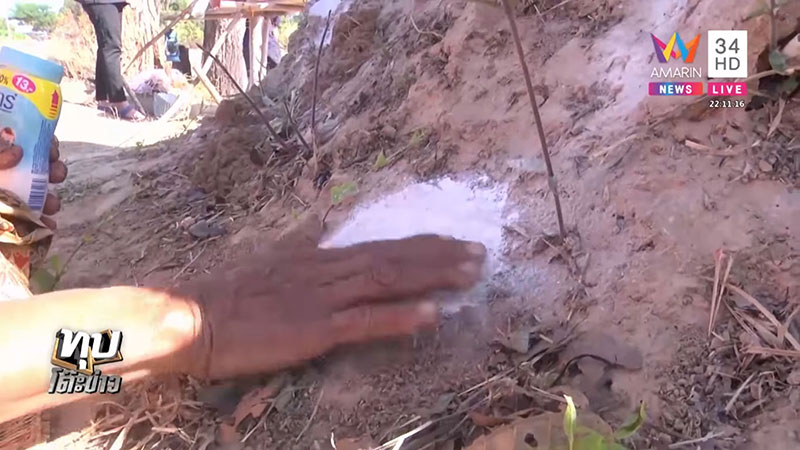 เลขเด็ดมาแรง