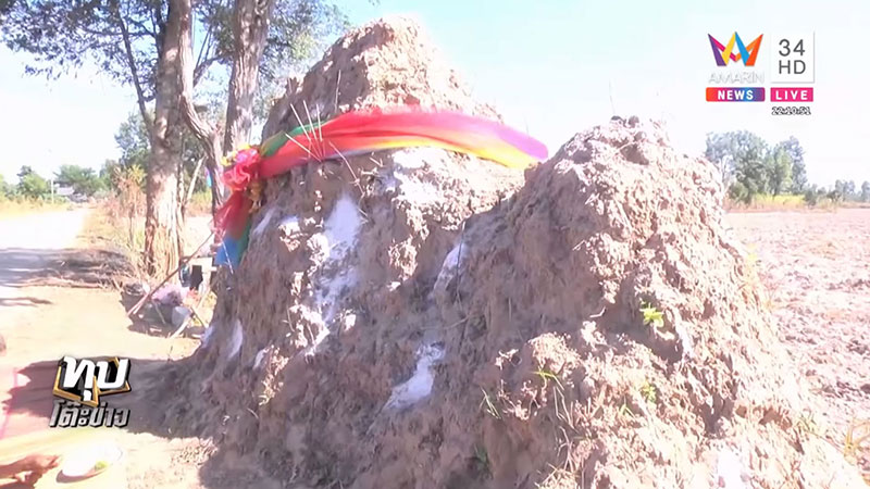 เลขเด็ดมาแรง