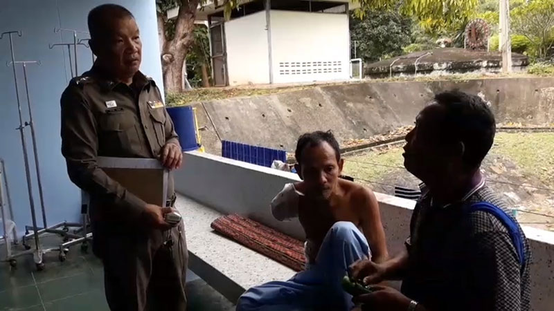 หนุ่มเก็บผักริมถนน