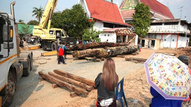 เลขเด็ดตะเคียนทอง พิจิตร