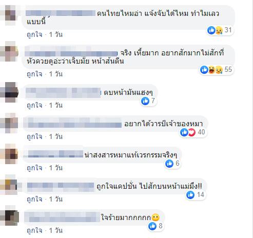 สักลายหมา