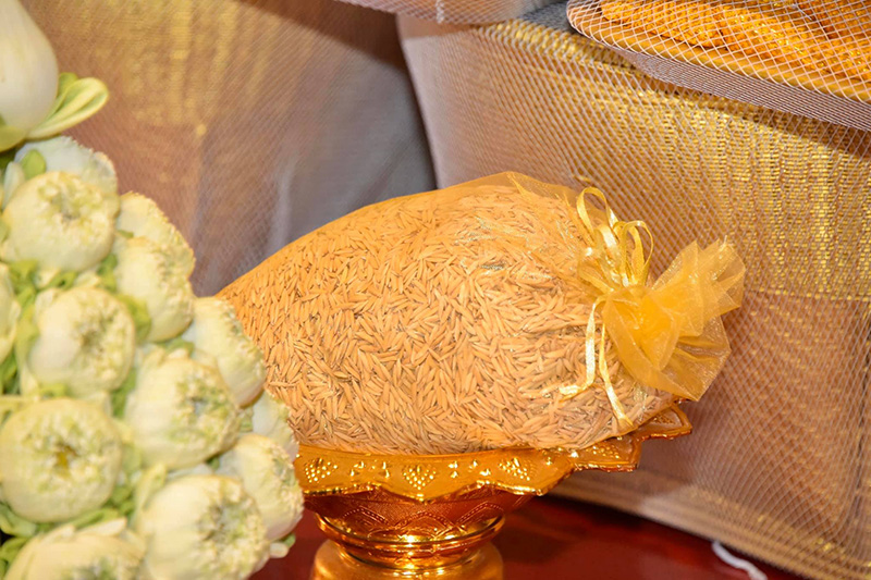 เมล็ดพันธุ์ข้าวพระราชทาน