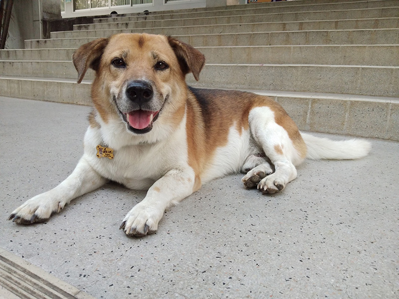 พี่เตี้ย มช.