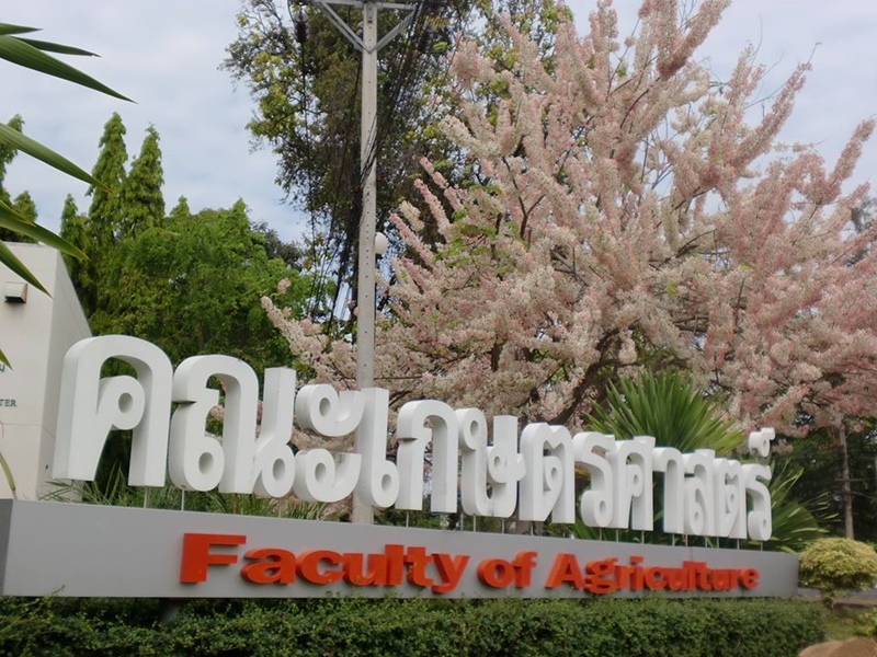 #แฉเกษตรมข