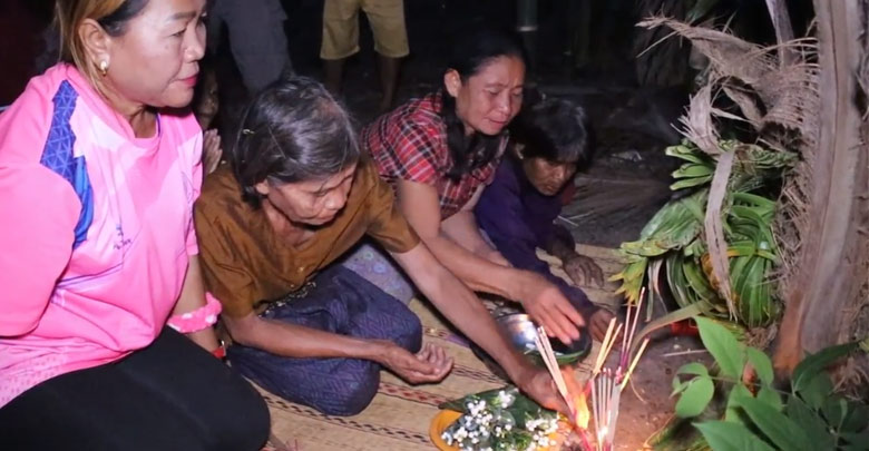 เลขเด็ดต้นมะพร้าวงวงพญาช้าง