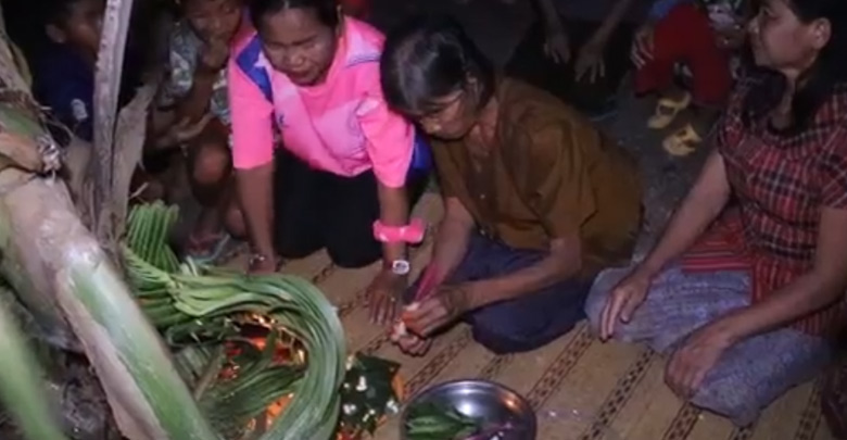 เลขเด็ดต้นมะพร้าวงวงพญาช้าง