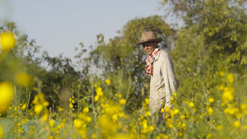 พักชำระหนี้ ธกส