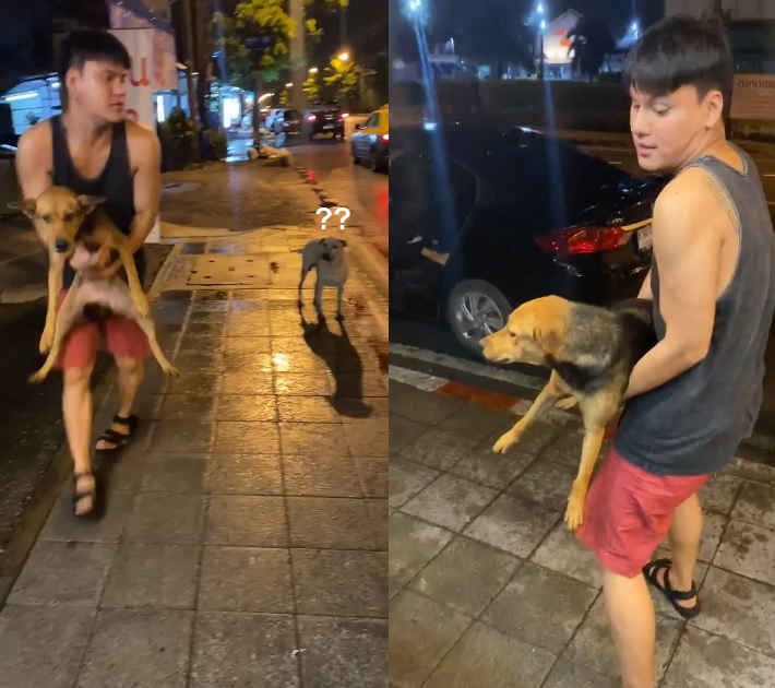 น้องหมูทะ