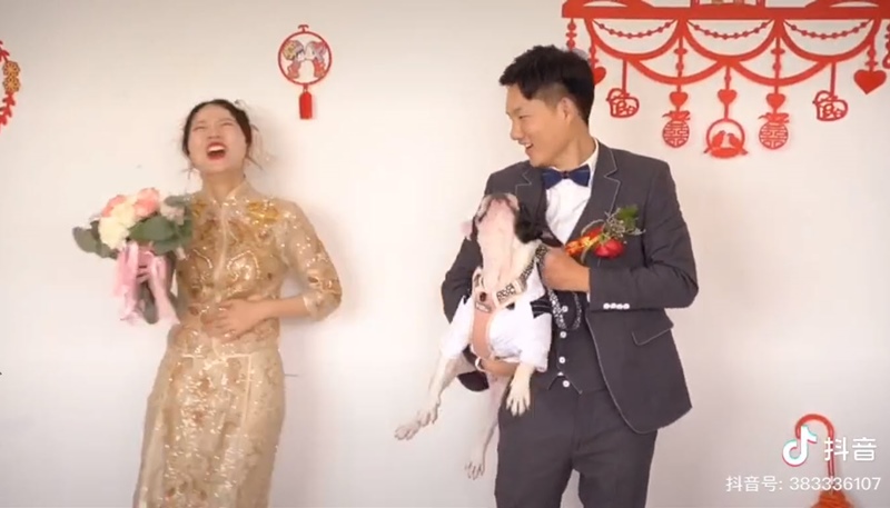 น้องหมาถีบเจ้าของ