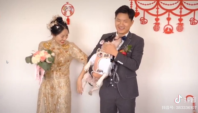 น้องหมาถีบเจ้าของ