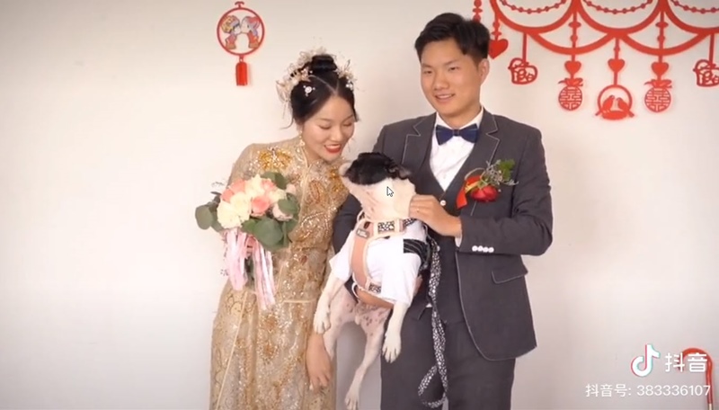 น้องหมาถีบเจ้าของ