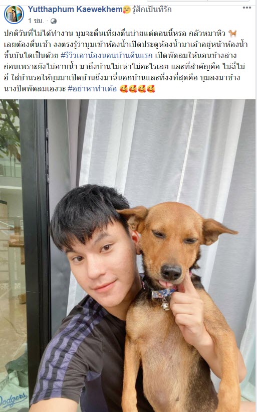 ข่าวหนุ่มเมาเอาหมากลับบ้าน