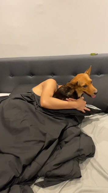 ข่าวหนุ่มเมาเอาหมากลับบ้าน