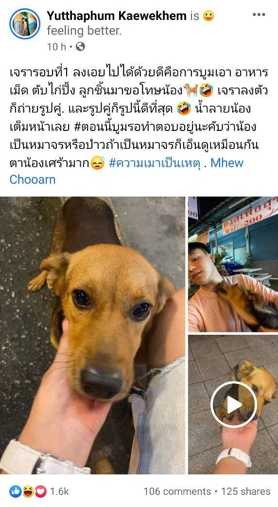 ข่าวหนุ่มเมาเอาหมากลับบ้าน