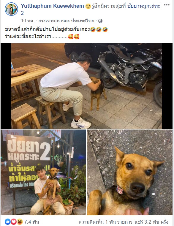 ข่าวหนุ่มเมาเอาหมากลับบ้าน