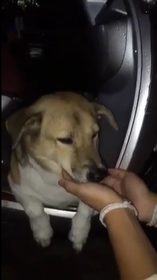 พี่เตี้ย มช