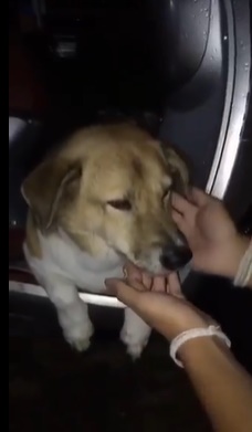 พี่เตี้ย มช