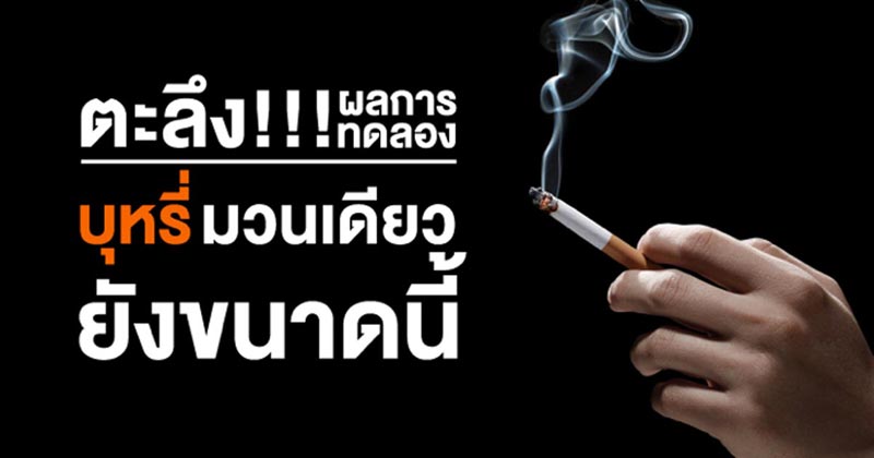 เลิกบุหรี่