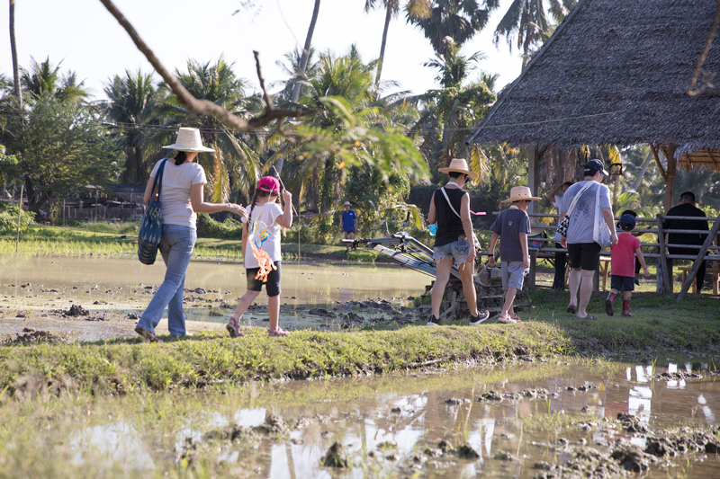 สามพราน ริเวอร์ไซด์ และตลาดสุขใจ