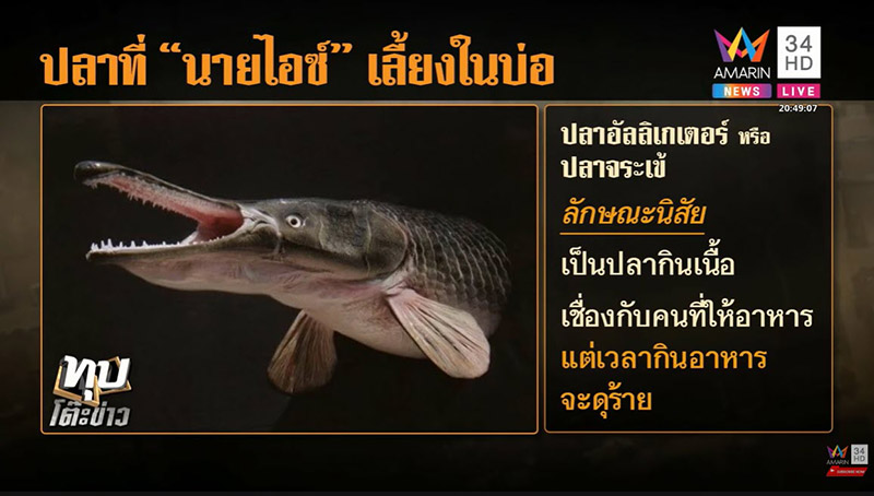 ไอซ์ หีบเหล็ก