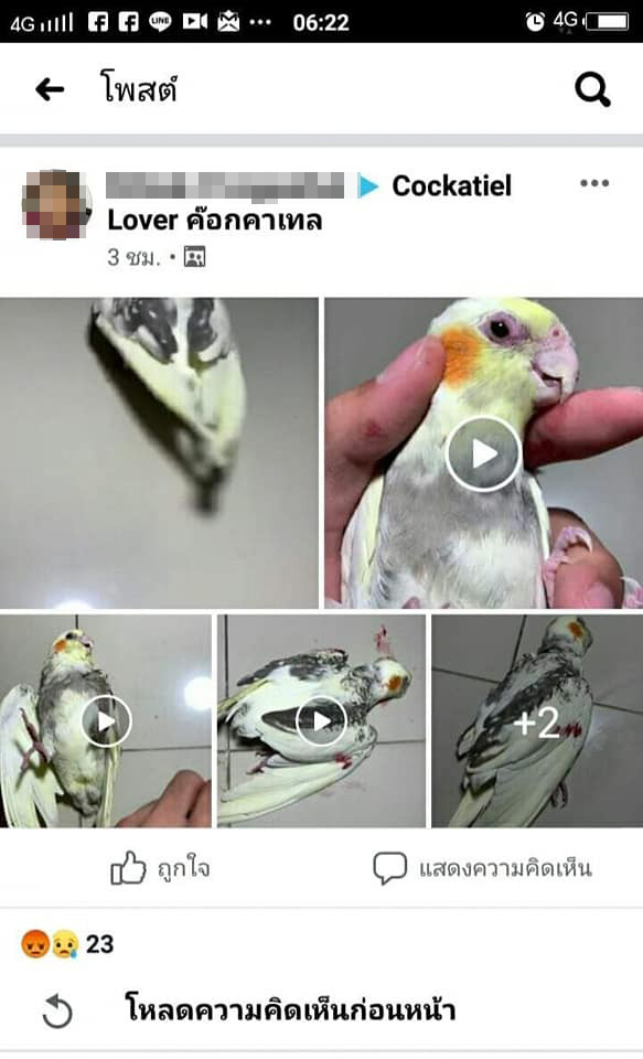 ฆ่านก อัดคลิปโชว์