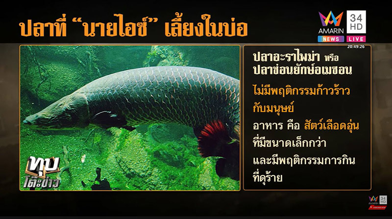 ไอซ์ หีบเหล็ก