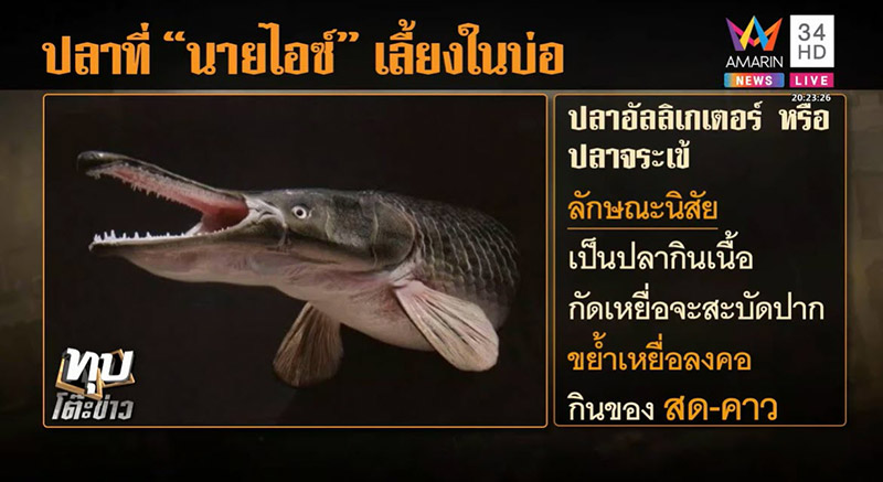 ไอซ์ หีบเหล็ก