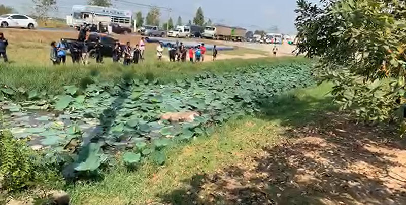 ยีราฟจมน้ำตาย 