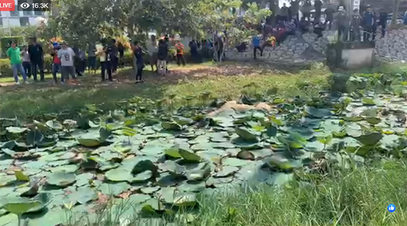 ยีราฟจมน้ำตาย 