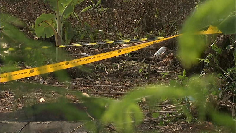 ไอซ์ หีบเหล็ก 