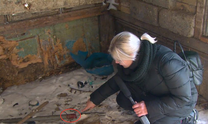 กินเนื้อหมา