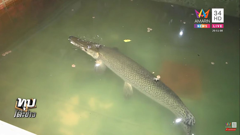 ไอซ์ หีบเหล็ก