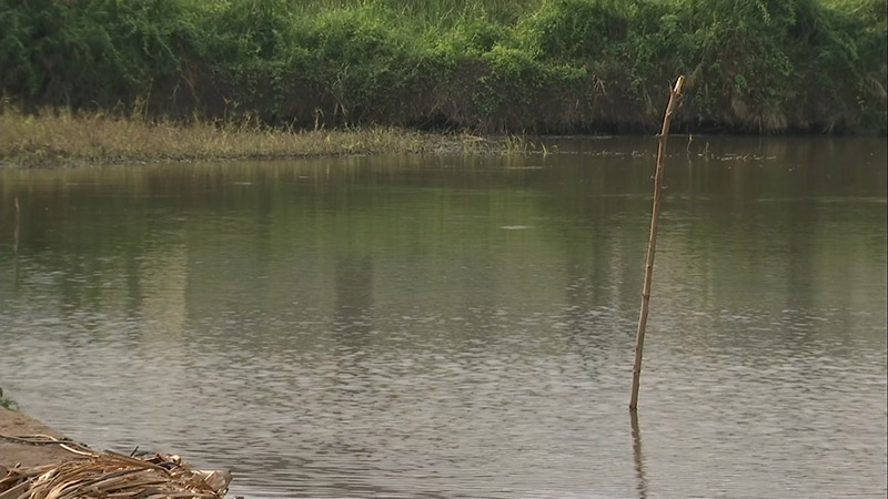 ไอซ์ หีบเหล็ก 