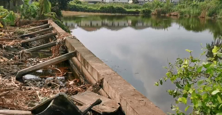 ไอซ์ หีบเหล็ก