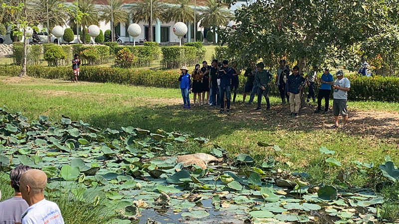 ยีราฟตาย