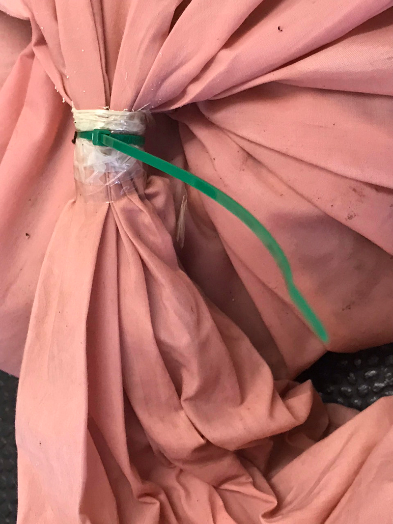 ทิ้งงูในถังขยะ