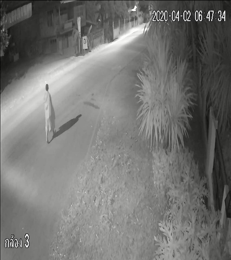 พระอุ้มลูกหมาปล่อยในบ้านคน