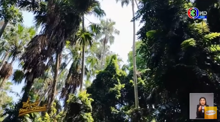 เลขเด็ดคำชะโนด